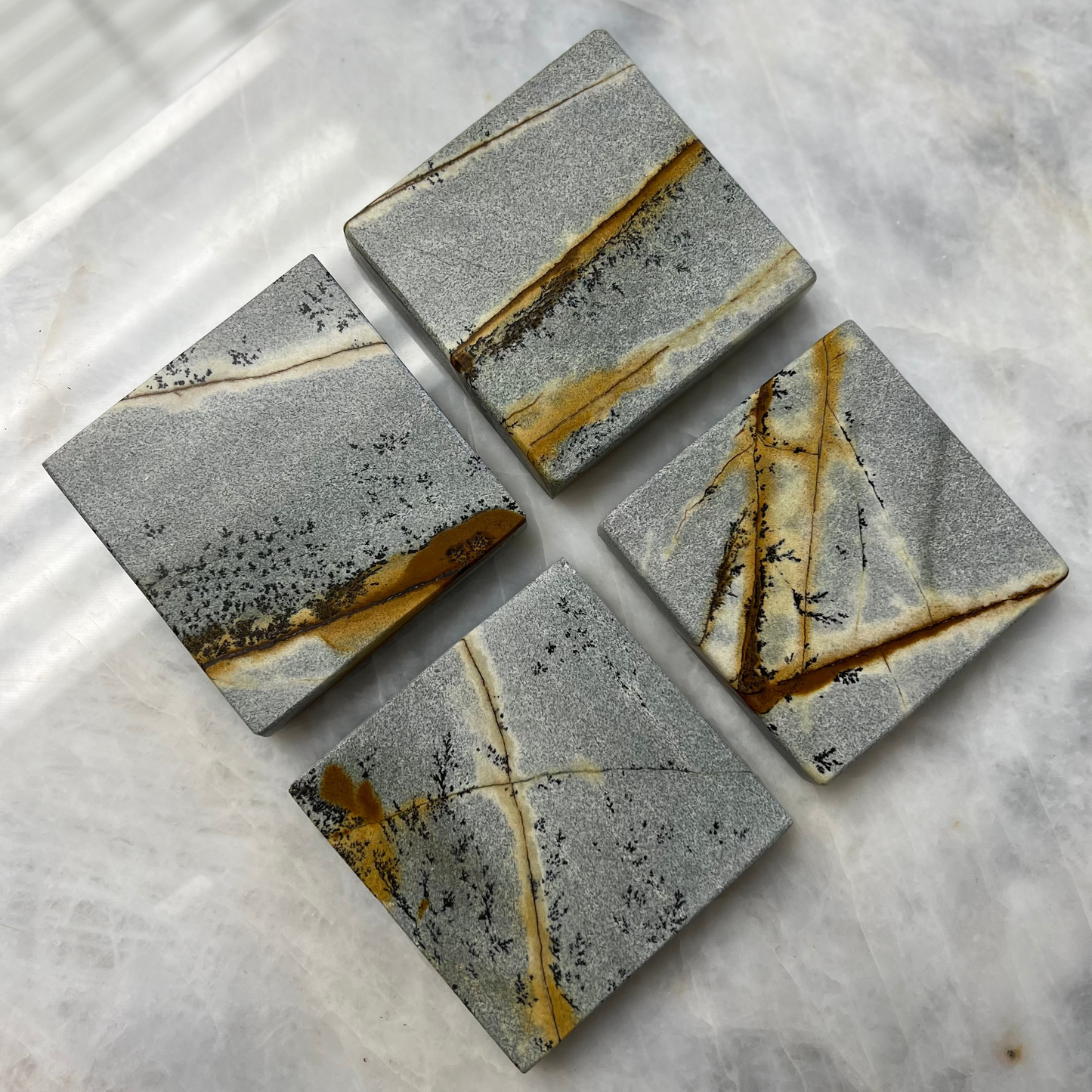 Blue Palomino Coasters - Set of 4 pieces