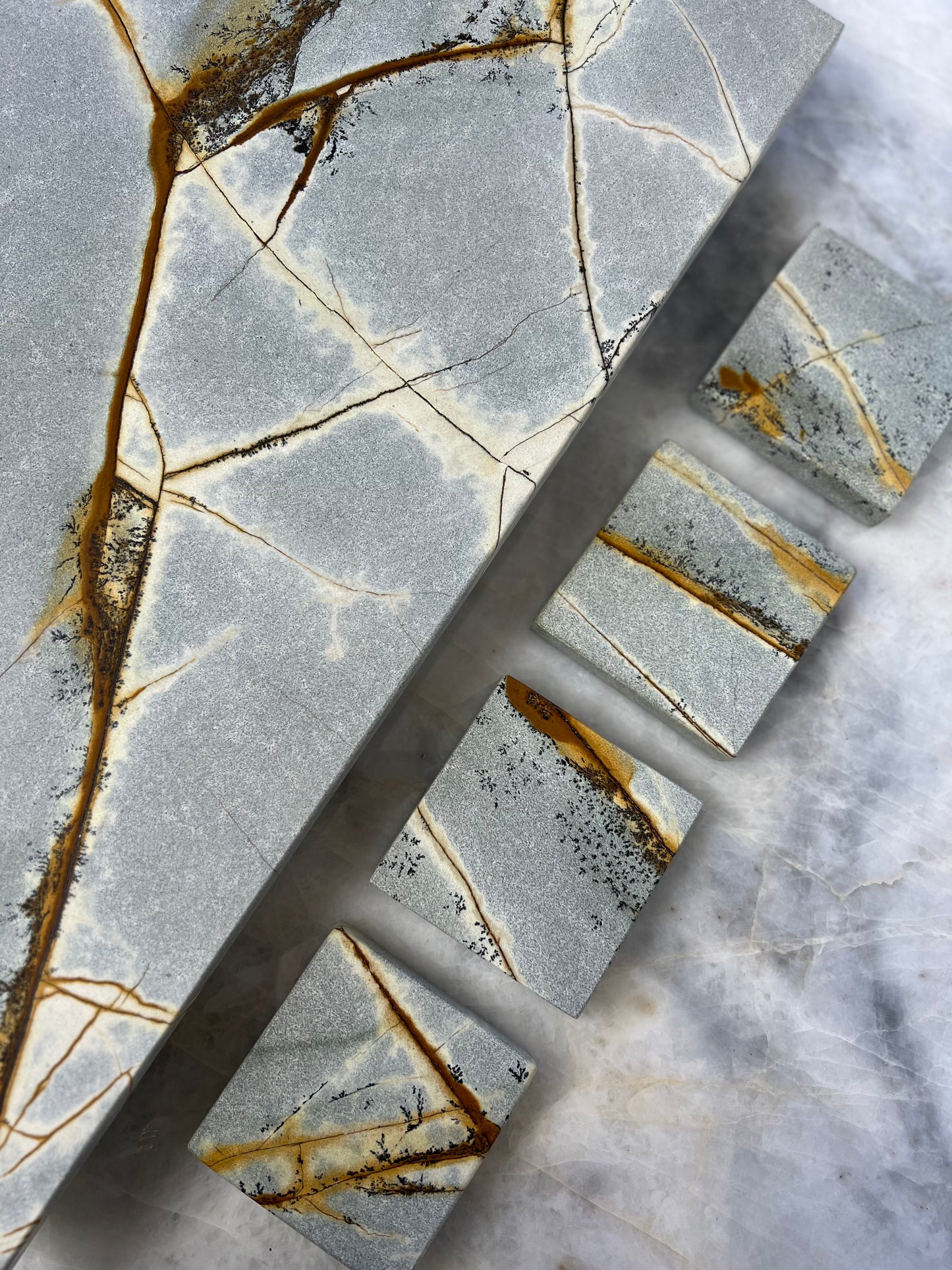 Blue Palomino Coasters - Set of 4 pieces